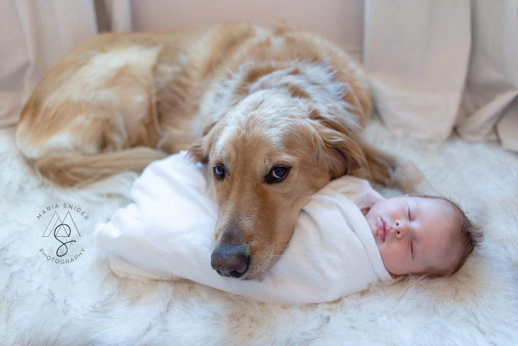 babies, new born and kids photoshoot taken by top Houston photographer, Maria Snider Photography